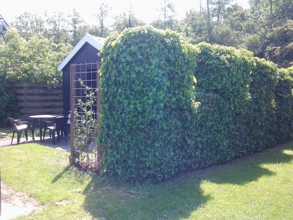 Bed & Breakfast Meinsma Moddergat Luaran gambar